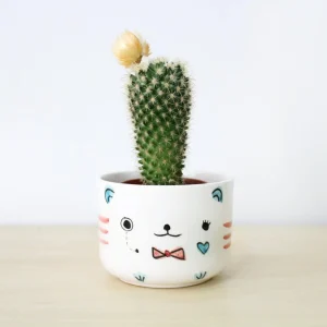 Macetero cara de oso Kawaii ceramica hecha a mano