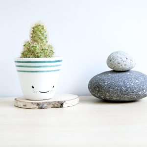 Macetas de cerámica pequeñas con carita para crasas, cactus o soculentas