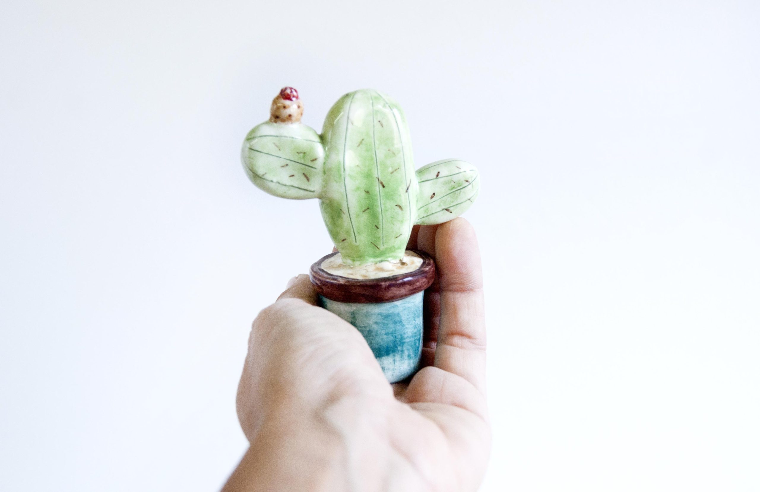 Cactus de cerámica en miniatura pareja bola y palma