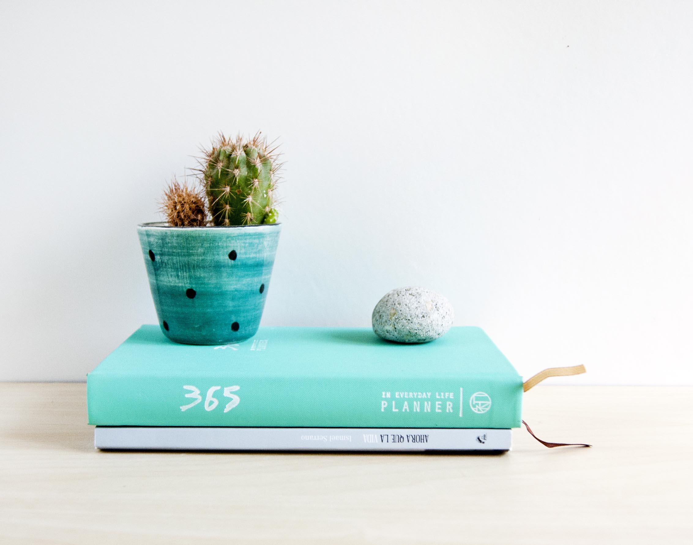 Maceta pequeña de cerámica verde con lunares para crasas, cactus o suculentas