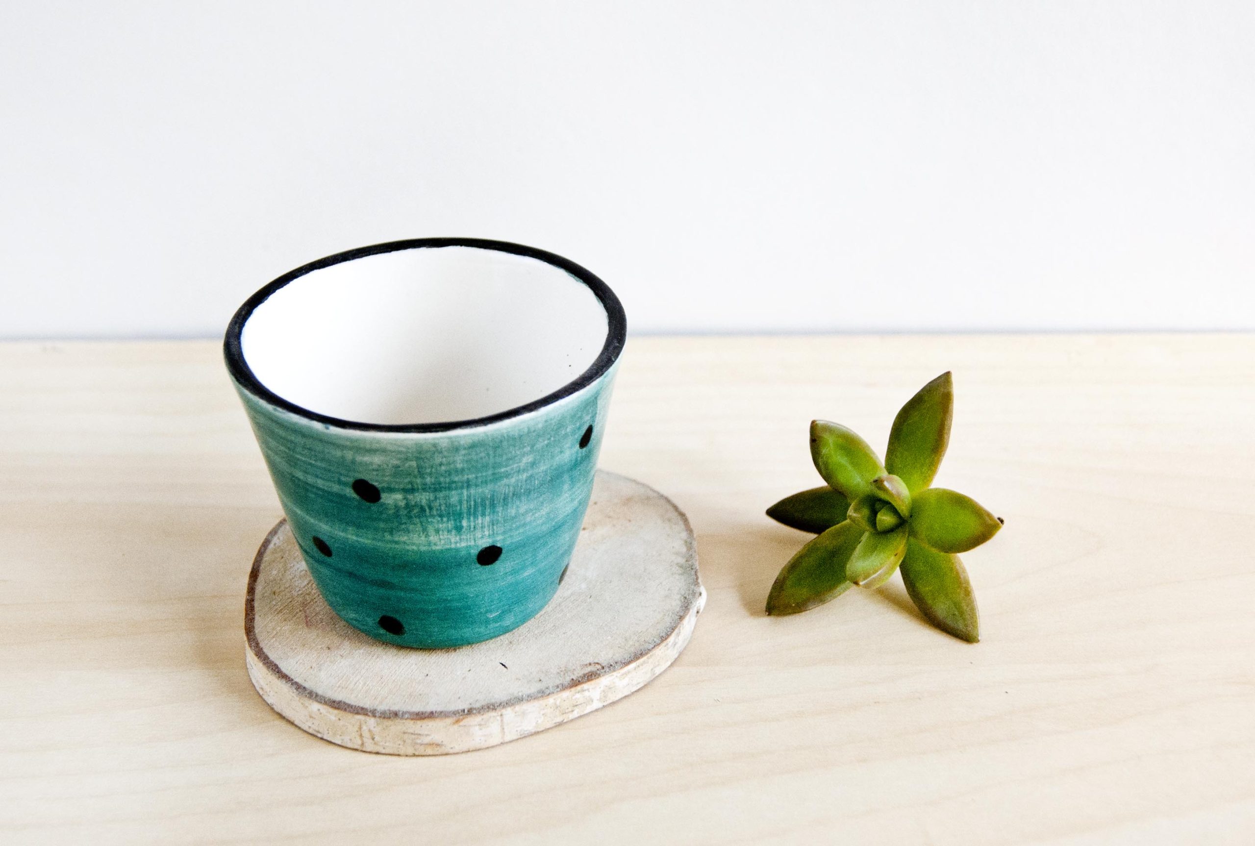 Maceta pequeña de cerámica verde con lunares para crasas, cactus o suculentas