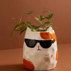 ab923541db8e6bc1bd1fa313a75a175c